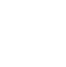 IBEW 1920
